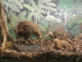 /album/fenykepgaleria/img-20121222-152719-jpg/