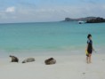 /album/fenykepgaleria/img-20130104-131138-jpg/